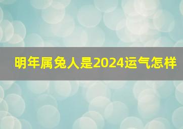 明年属兔人是2024运气怎样,明年属兔人是2024运气怎样