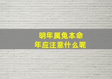 明年属兔本命年应注意什么呢,属兔本命年要注意什么