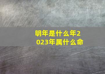 明年是什么年2023年属什么命,什么是灰兔年