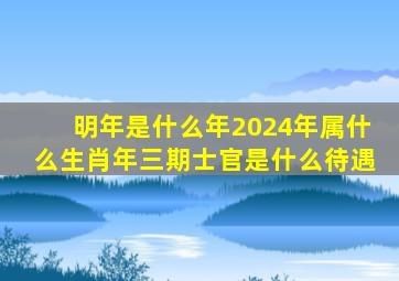 明年是什么年2024年属什么生肖年三期士官是什么待遇