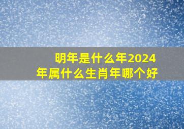 明年是什么年2024年属什么生肖年哪个好,明年是什么年2023年是什么命