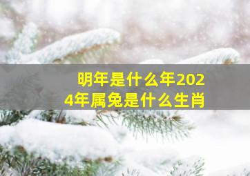 明年是什么年2024年属兔是什么生肖,明年是什么年2024年属兔是什么生肖呢