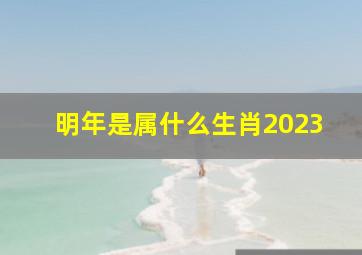 明年是属什么生肖2023,2023年属什么生肖