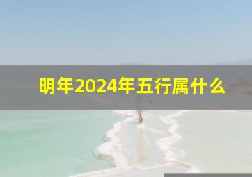 明年2024年五行属什么,2024年五行属什么年份