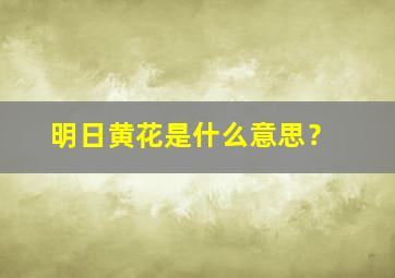 明日黄花是什么意思？