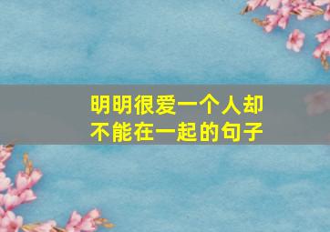 明明很爱一个人却不能在一起的句子,明明很爱你却不能在一起