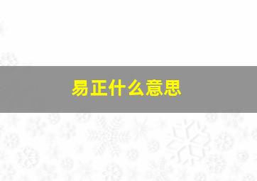 易正什么意思,易正先生