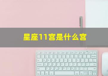 星座11宫是什么宫,11宫代表什么