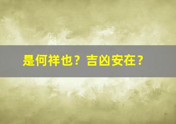 是何祥也？吉凶安在？,是何祥也吉凶安在