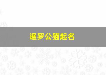 暹罗公猫起名,暹罗公猫起名字大全