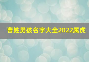 曹姓男孩名字大全2022属虎,曹姓寓意好的名字曹姓名字大全