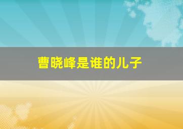 曹晓峰是谁的儿子,曹晓凡简介