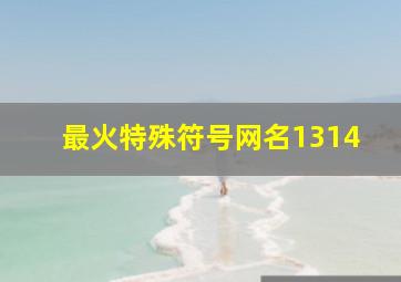 最火特殊符号网名1314,最火特殊符号网名二字