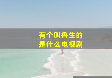 有个叫鲁生的是什么电视剧,石亚楠书记这个电视叫什么