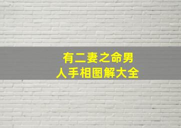 有二妻之命男人手相图解大全,男人有二妻之命什么意思