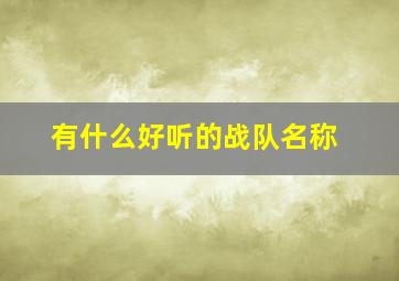 有什么好听的战队名称,有什么好听的战队名称四个字