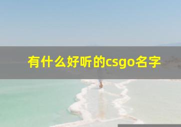 有什么好听的csgo名字,csgo 好听的名字