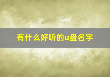 有什么好听的u盘名字,u盘起什么名字高级