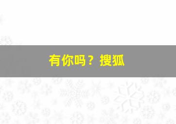 有你吗？搜狐,有你在吗