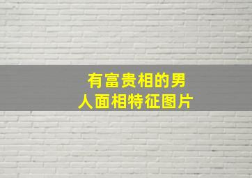 有富贵相的男人面相特征图片,男人富贵的10种体相鼻肉丰满会理财