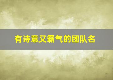 有诗意又霸气的团队名,霸气有含义的团队名字