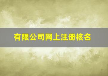 有限公司网上注册核名