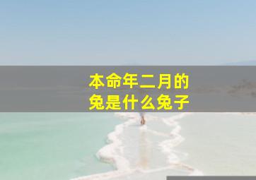 本命年二月的兔是什么兔子,二月春风五转阳指什么动物