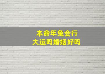 本命年兔会行大运吗婚姻好吗,本命年兔年可以结婚吗