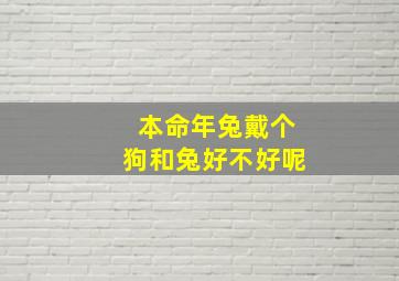 本命年兔戴个狗和兔好不好呢,属兔的戴本命佛