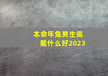 本命年兔男生佩戴什么好2023,属兔本命年佩戴什么好2023属兔吉祥物