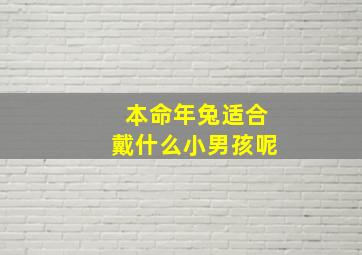 本命年兔适合戴什么小男孩呢,本命年兔戴什么转运