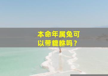 本命年属兔可以带貔貅吗？,属兔的可以带貔貅吗?属兔的适合戴貔貅吗?