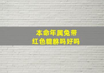 本命年属兔带红色貔貅吗好吗,属兔的戴本命佛