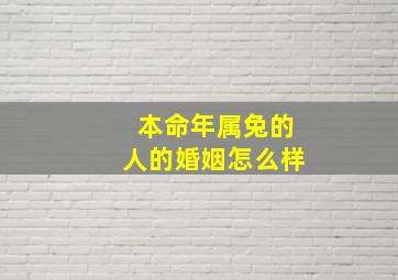 本命年属兔的人的婚姻怎么样,本命年兔年