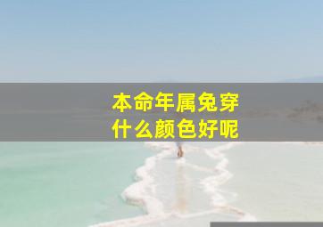 本命年属兔穿什么颜色好呢,属兔本命年适合什么颜色