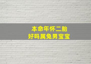 本命年怀二胎好吗属兔男宝宝,本命年怀的宝宝好不好