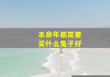 本命年都需要买什么兔子好,本命年要买些什么