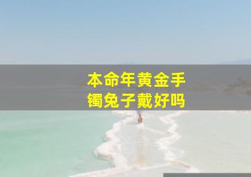 本命年黄金手镯兔子戴好吗