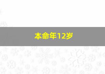 本命年12岁,本命年12岁文案