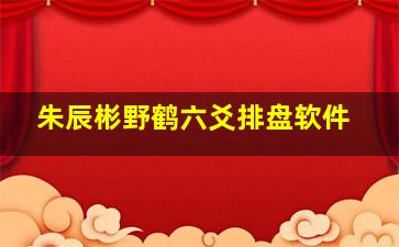 朱辰彬野鹤六爻排盘软件,朱辰彬六爻细节篇