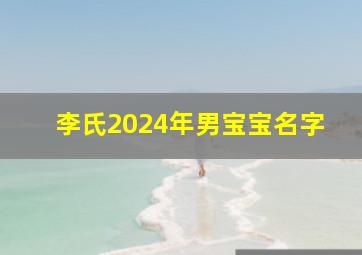 李氏2024年男宝宝名字