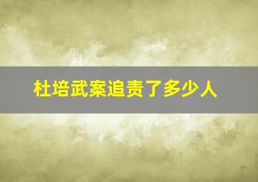 杜培武案追责了多少人,杜培武案追责结果