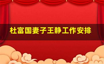 杜富国妻子王静工作安排,宁夏商务厅王静什么情况他老婆什么下场她老婆的情夫什么下场