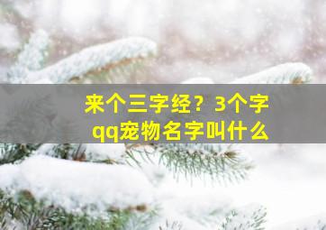 来个三字经？3个字qq宠物名字叫什么,三字宠物狗名字