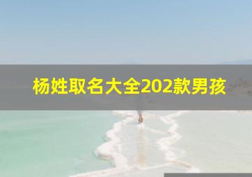 杨姓取名大全202款男孩,杨氏男孩名字大全