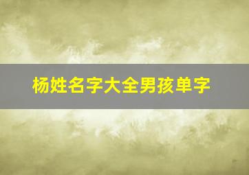 杨姓名字大全男孩单字,姓杨的单字男孩名字