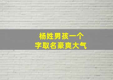 杨姓男孩一个字取名豪爽大气,姓杨起一个字的名