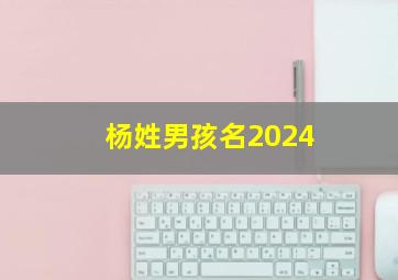 杨姓男孩名2024,杨姓男孩名字