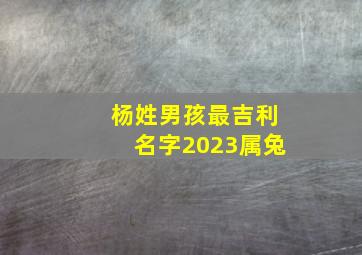 杨姓男孩最吉利名字2023属兔,2023属兔男孩简单好听名字大全（个个精选