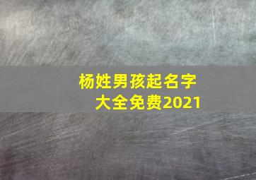 杨姓男孩起名字大全免费2021,2021年杨姓宝宝取名